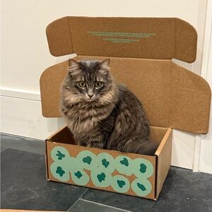 Meet your Posher, Enisa